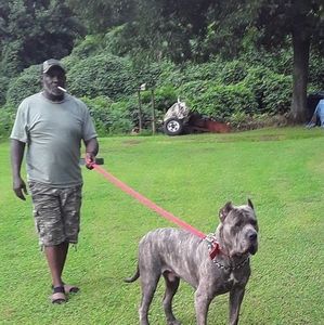 Meet your Posher, Donnie